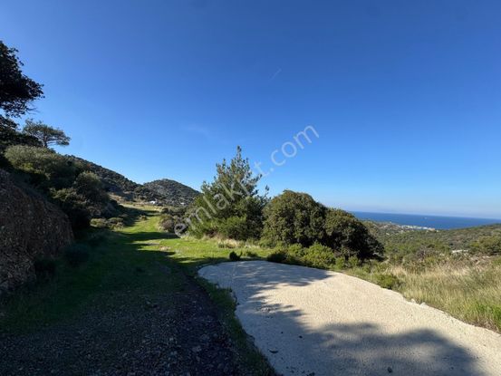 Turyap Foça'dan Sazlıca'da Panoramik Deniz Manzaralı Arsa