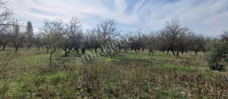 Balıkesir, Savaştepe, İstiklal Satılık Tarla C21bal Ofis