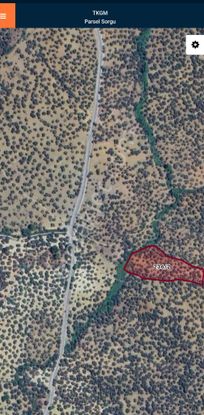 Golden Globy, Havran Kalabak'da Satılık Anayola Bir Parsel 6.136 M2 Zeytinlik