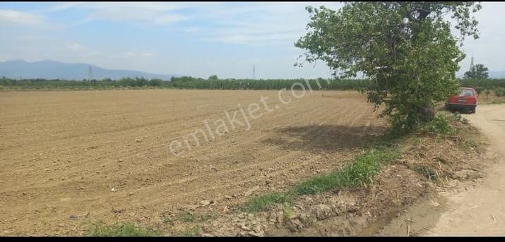 Turgutlu Nurcan Emlak'tan 7.mıntıka 4.900 M² Tek Tapu Tarım Arazisi Satılıktır.