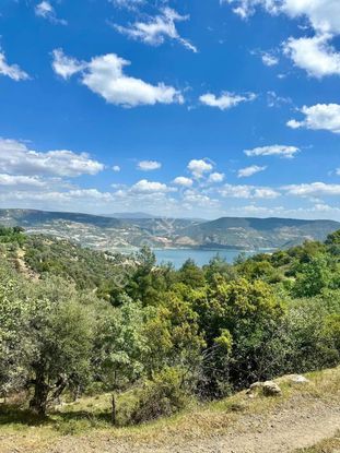 Bozdoğan Kızıltepe Satılık Tarla