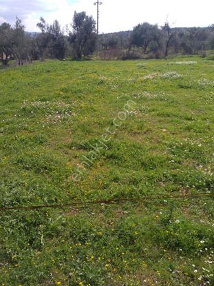 Sahibinden 2 Kat İmarlı