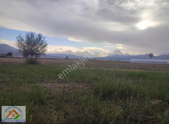 Bulut Emlak Burdur Gölhisarda 15 Dönüm Yatırımlık Satılık Tarla