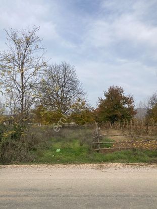 Sahibinden Satılık Tarla