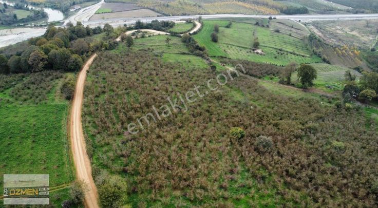 Karasu Hürriyet Mahallesi Satılık Tarla. 5 Dönüm Enfes Konum