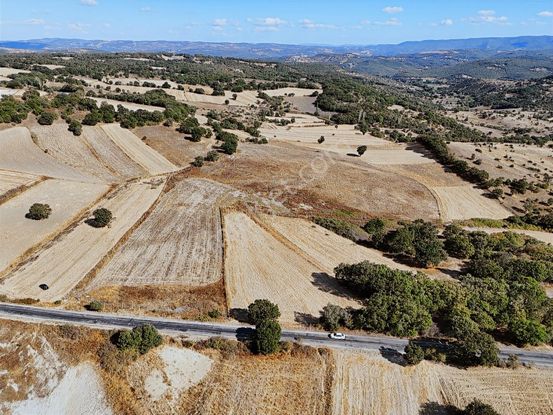 Asfalta Cephe Sondajı Olan 33.000m2 Müstakil Tapulu Tarla