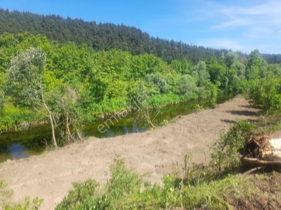 Burhan Ardıç'tan Mustafakemalpaşa Kestelek Dere Kıyısı 1.225 M2