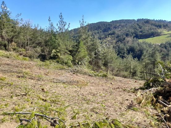 Burhan Ardıç'tan Mustafakemalpaşa Soğukpınar 9800 M2 Arazi