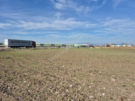 Erkan Anbar Dan Satılık Anayola Sıfır Tarla Suluova