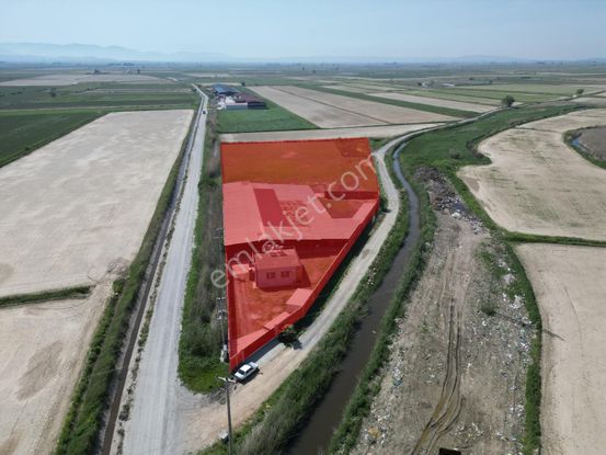 Söke-güllübahçe'de Yatırıma Uygun Ruhsatlı Süt Ve Besi Çiftliği