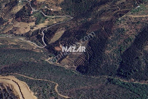 Alanya Çamlıca'da 15.073 M² Satılık Tarla