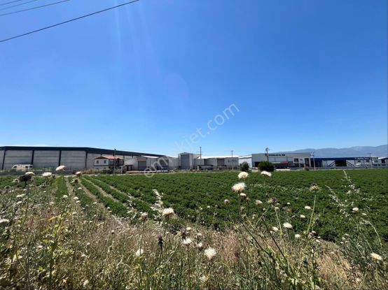 Emr Gayrimenkul Farkıyla Satılık Sanayi İmarlı Arsa
