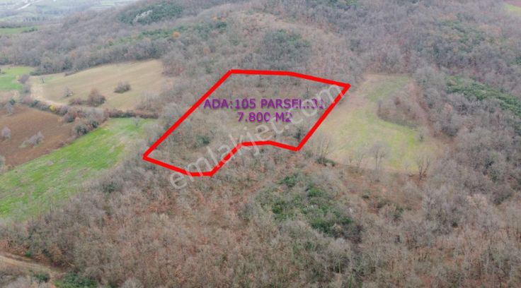 Burhan Ardıç'tan Mustafakemalpaşa Çavuş 7.800 M2 Arazi