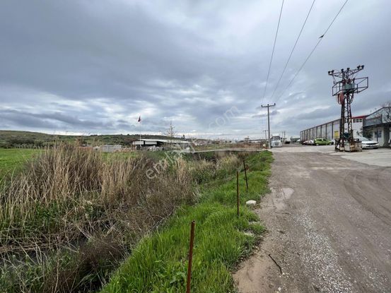 Balıkesir Ayvalık Ta Satılık 46 Donum Arsa.anayola 2. Parsel.