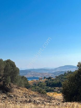 İzmir Yeni Foçada Satılık Arsa