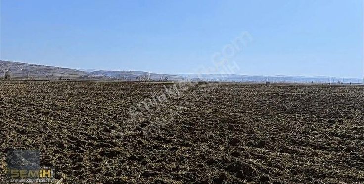 Semih'den Çayırda Şehrin Dibinde Gelecek Vaad Eden Arazii