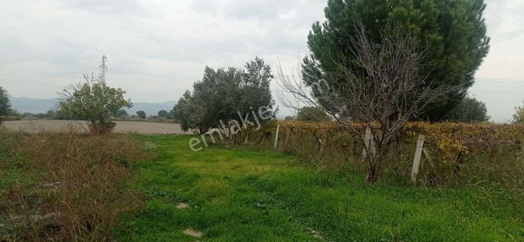 Karaçay Mevkiinde Satılık Bağ Tarla