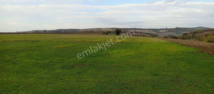 Çatalağıl Mahallesi Satılık 6.100 Mt2 Tek Tapu Müstakil Tarla