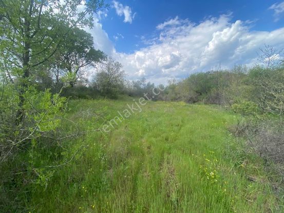 🟨🟨aktif'ten Sübeylidere'de Harika Konumda 10.200m2 Satılık Zeytinlik 🟨🟨