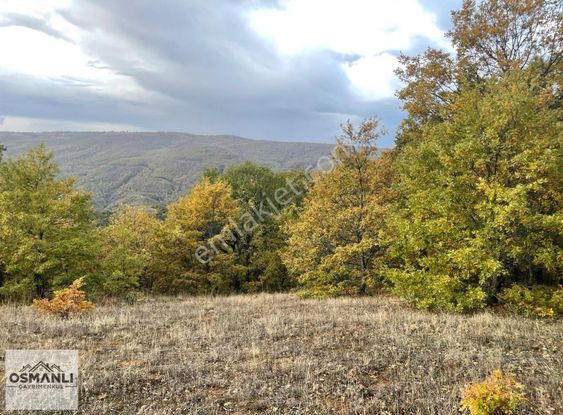 Telefon Fiyatına Hayalinizdeki Doğa Manzaralı Arazi
