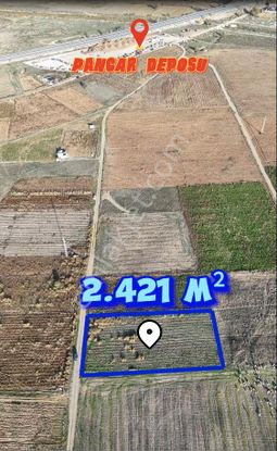 Şahin Emlaktan Denizli Acıpayam Akalan Mah. Satılık 2.421 M² Tarla