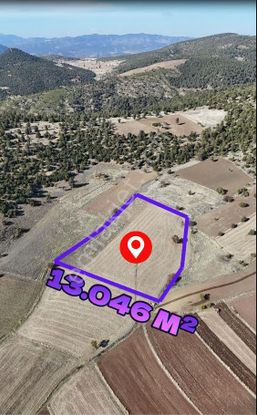 Şahin Emlaktan Denizli Acıpayam Dodurga Mah.satılık 13.046 M² Arazi