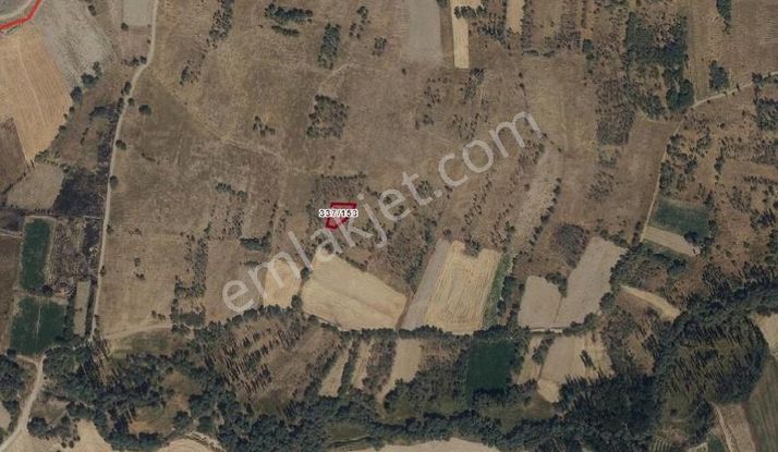 Aksaray Doğantarla'da Satılık Tarla
