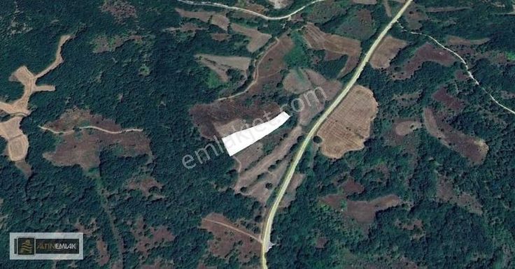 Kırklaeli Armutveren Köyünde Asfalt Yolu Üzeri Satılık Tarla