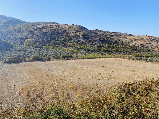 Expert'ten Şirinçavuş'ta Satılık 14.748 M² Tarla