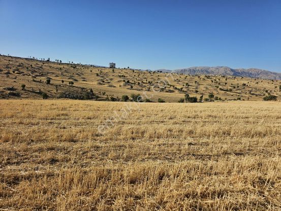 Hakev'den Anayola Safır Köşe Başı 720 M2 Arsa Satılıktır