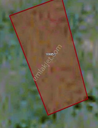 Kırklareli İğneada'da İmara Yakın Denıze 500 Metre Tarla Fırsatı