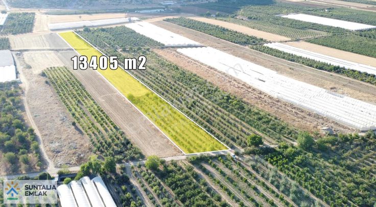 Bayatın En Tutulan Yerinde 13405 M2 Tek Tapu Tarla + Bahçe