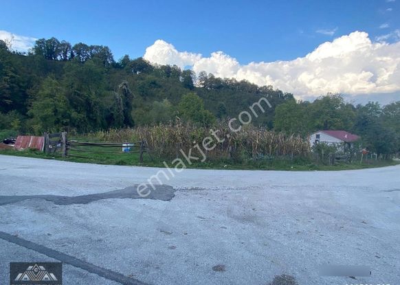 Canbulattan Kaynaşlı Şimşirde 730 M² Satılık Arsa