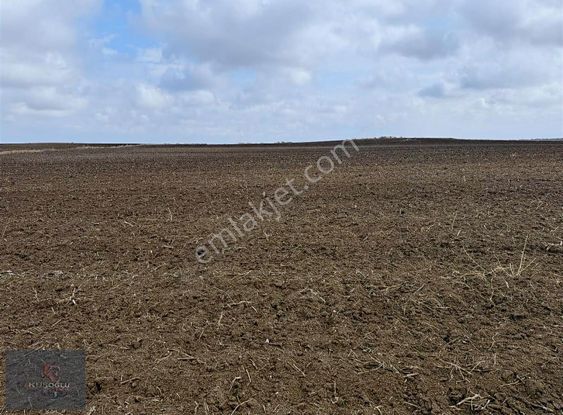 Vize Müsellim Köyünde Yola Cephe Satılık Tarla