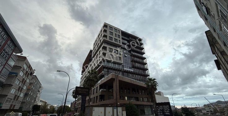 Borkonut Center Kiralık Deniz Manzaralı Temiz Ofis