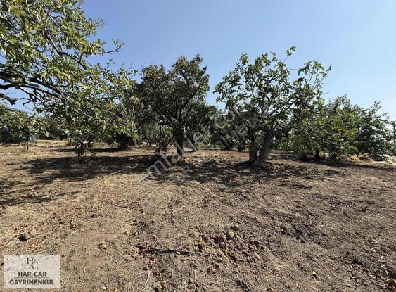 Villa İmarlı Fırsat Arsa...