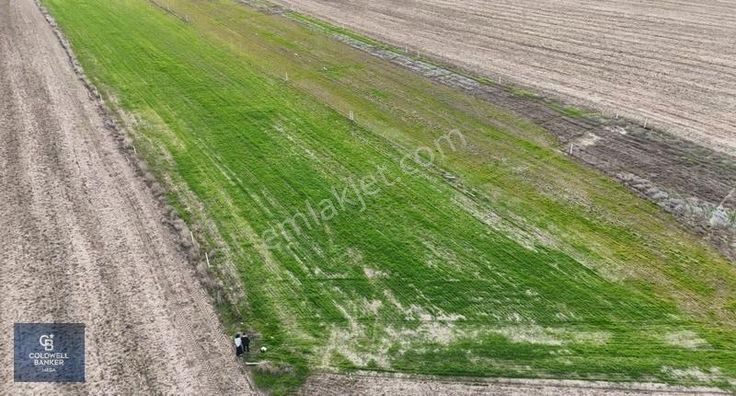 Toki Konutlarına Yakın, Değer Kazanan Bölgede 536 M² Tarla