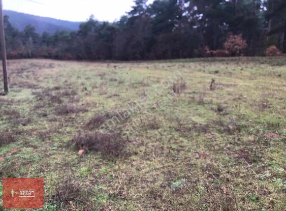 Çanakkale Lapseki Yaylalar Da Yatırımlık Kupon Tarla