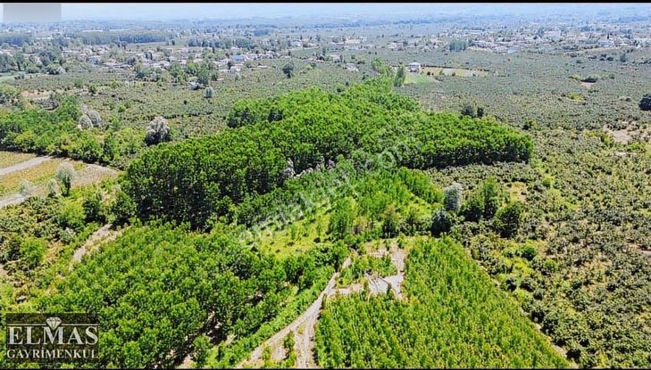 Sakarya Karapürçek Mahallesinde 5.647 M2 Satılık Kavaklık