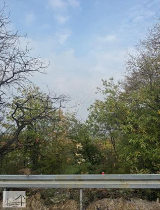 Köprübaşı Emlak'tan Satılık Çamçukur'da Deniz Manzaralı Arsa