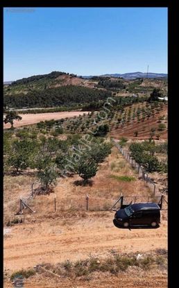 Gürgin Emlak Tan Satılık Villa İmarlı Arsa