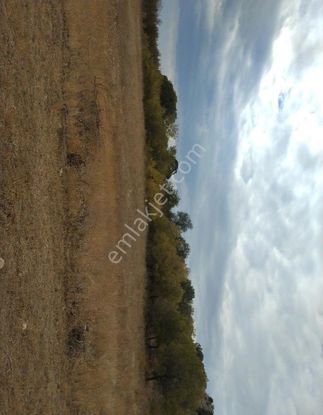 Isparta Bağıllı'da Harika Geniş Dikdörtgen Tarla