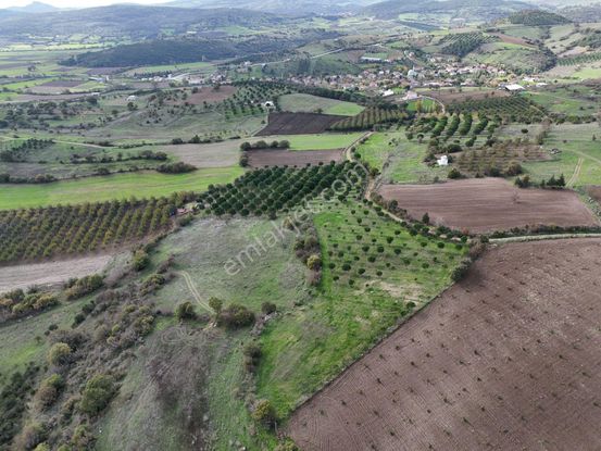 Rookz Balşehir Den Balıkesir Kepsut Recepköyde Satılık Tarla
