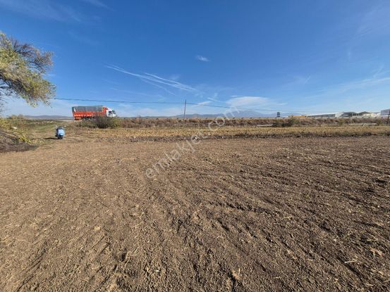 Erkan Anbar Dan Satılık Anayol Üzeri Tarla Suluova Salucu