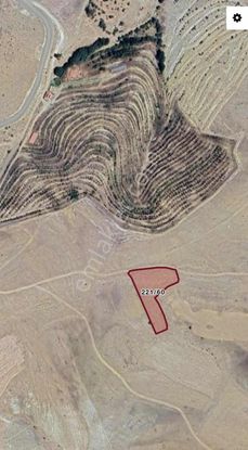 Tatköy De Yolu Olan Tek Tapulu 3900 Mt Yatırımlık Hobicilige Uyg