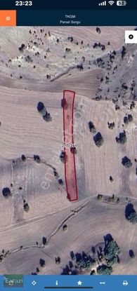 2 Adet Tek Tapu 3680m2 Fırsatı!