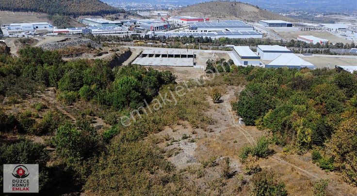 Düzce Konut Emlak | Gümüşova Organize Yanı | Satılık 11 Dönüm