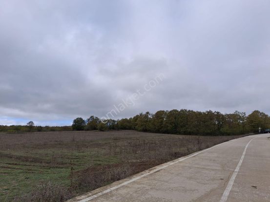 Sahibinden Sahibinden Orman Komşusu Ve Beton Yola Cepheli Müstakil Tarla