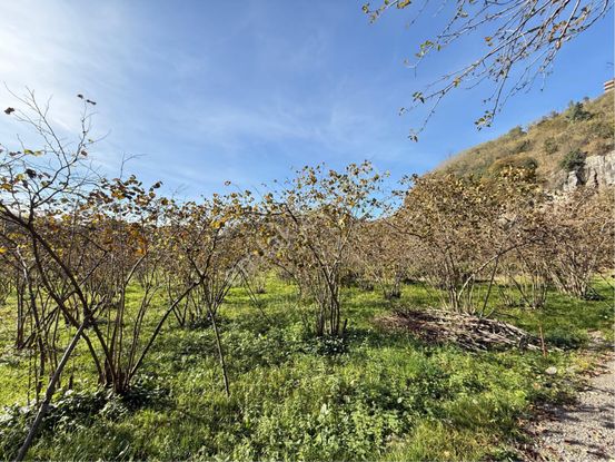 Çukurçayır Da İmarlı Satılık Arsa