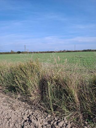 Turizmin Başkenti Antalya Kundu Oteller Bölgesi Aksa Oteli Kuzeyi